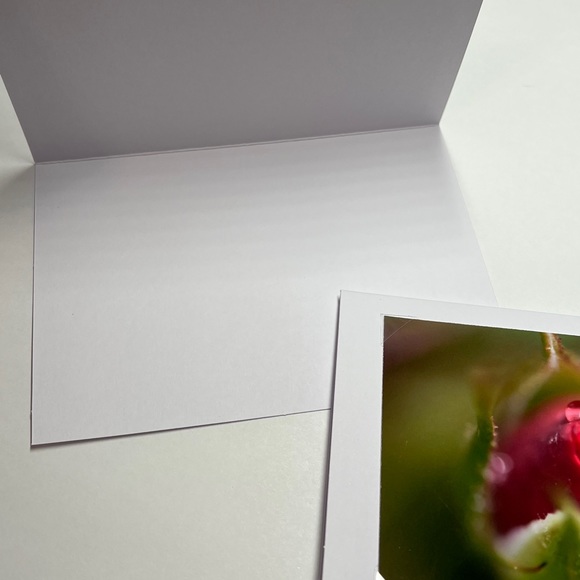 Custom Photo Note Cards Made in Maine - Picture 3 of 7